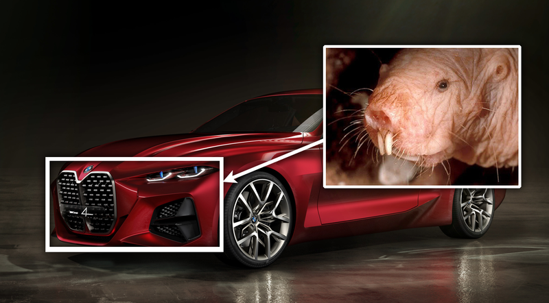 Illustration for article titled BMW Should Make Its Kidney Grilles Wider, Not Taller